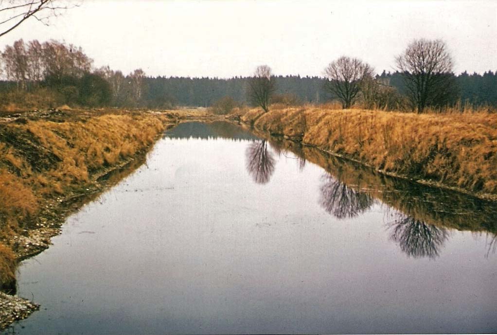 Kiesweiher 1977