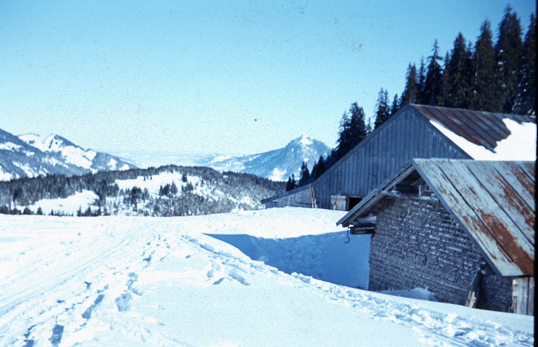  Blick zum Grnten