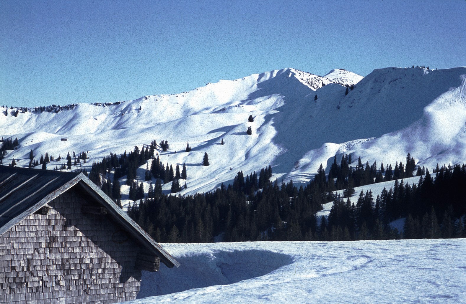 Blick von der Hllritz Alpe auf Dreifahnenkopf und Riedberger Horn