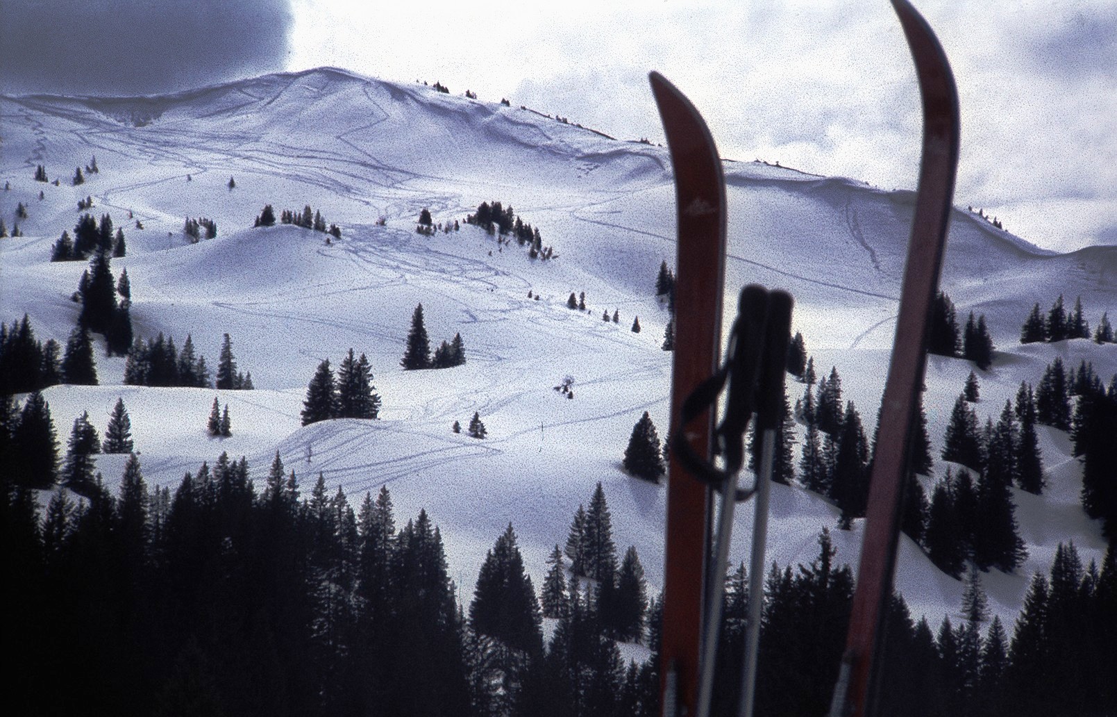 Das Blaicher Horn