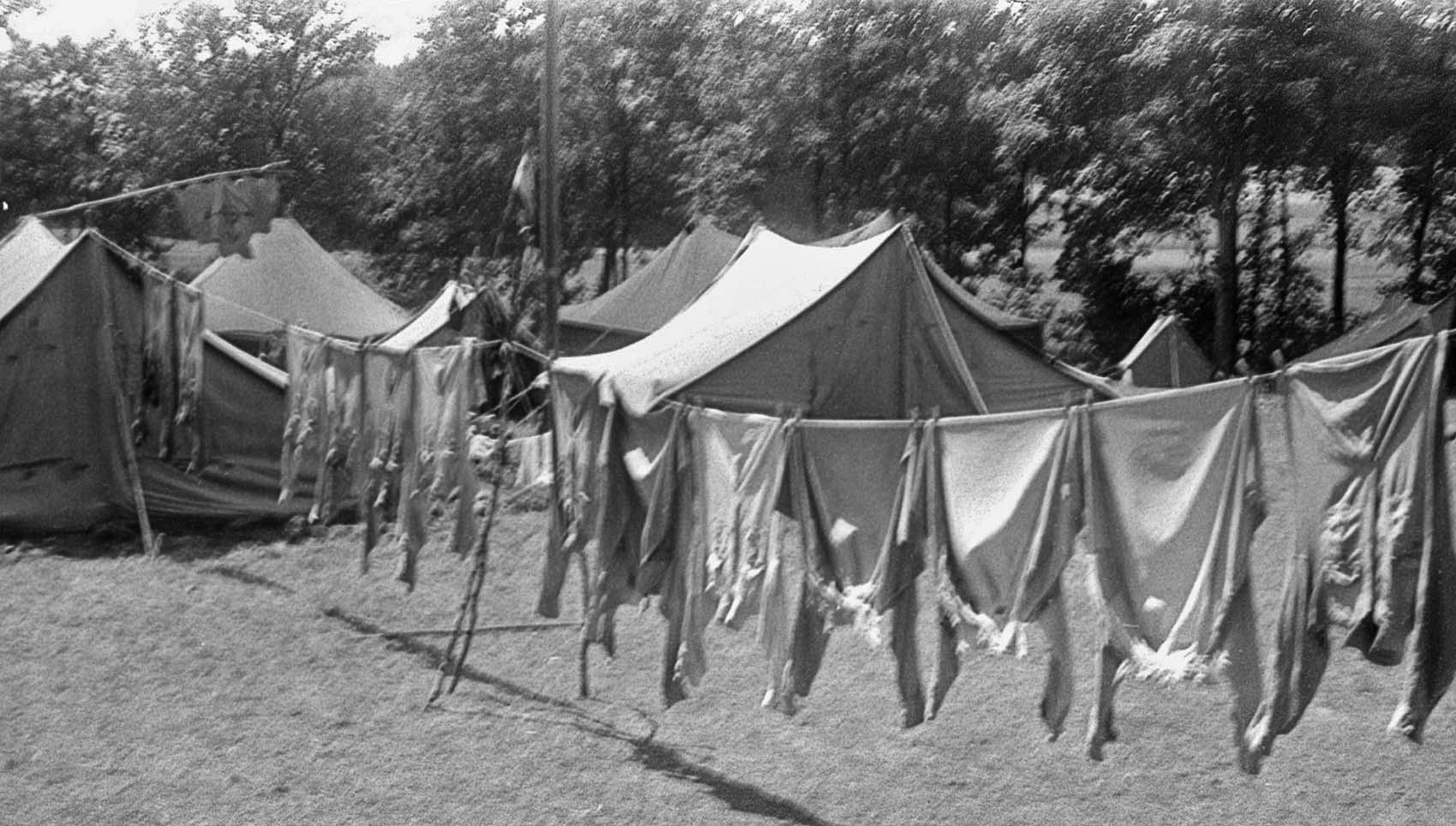 Bild 10, Foto von Helmut Nachtigall