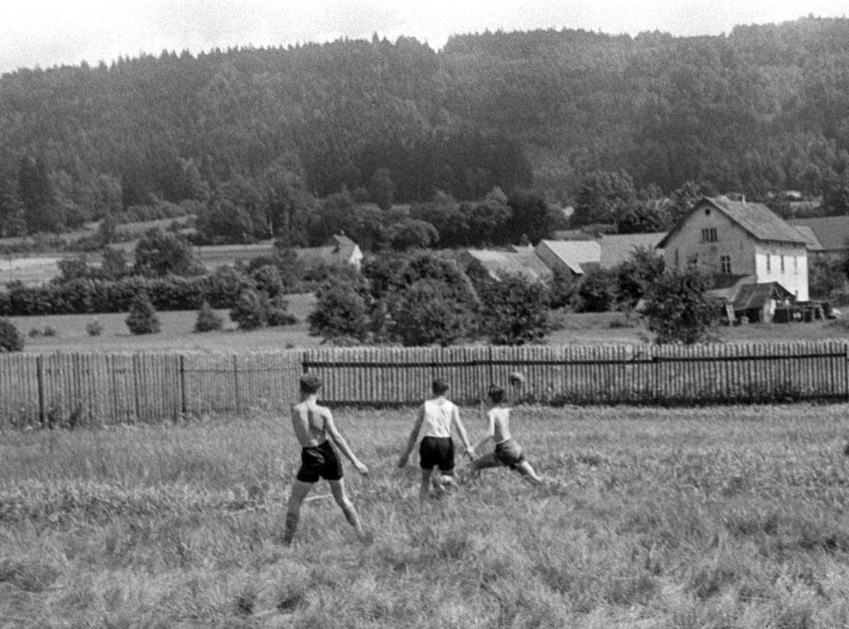Beim Angriff, Foto von Helmut Nachtigall