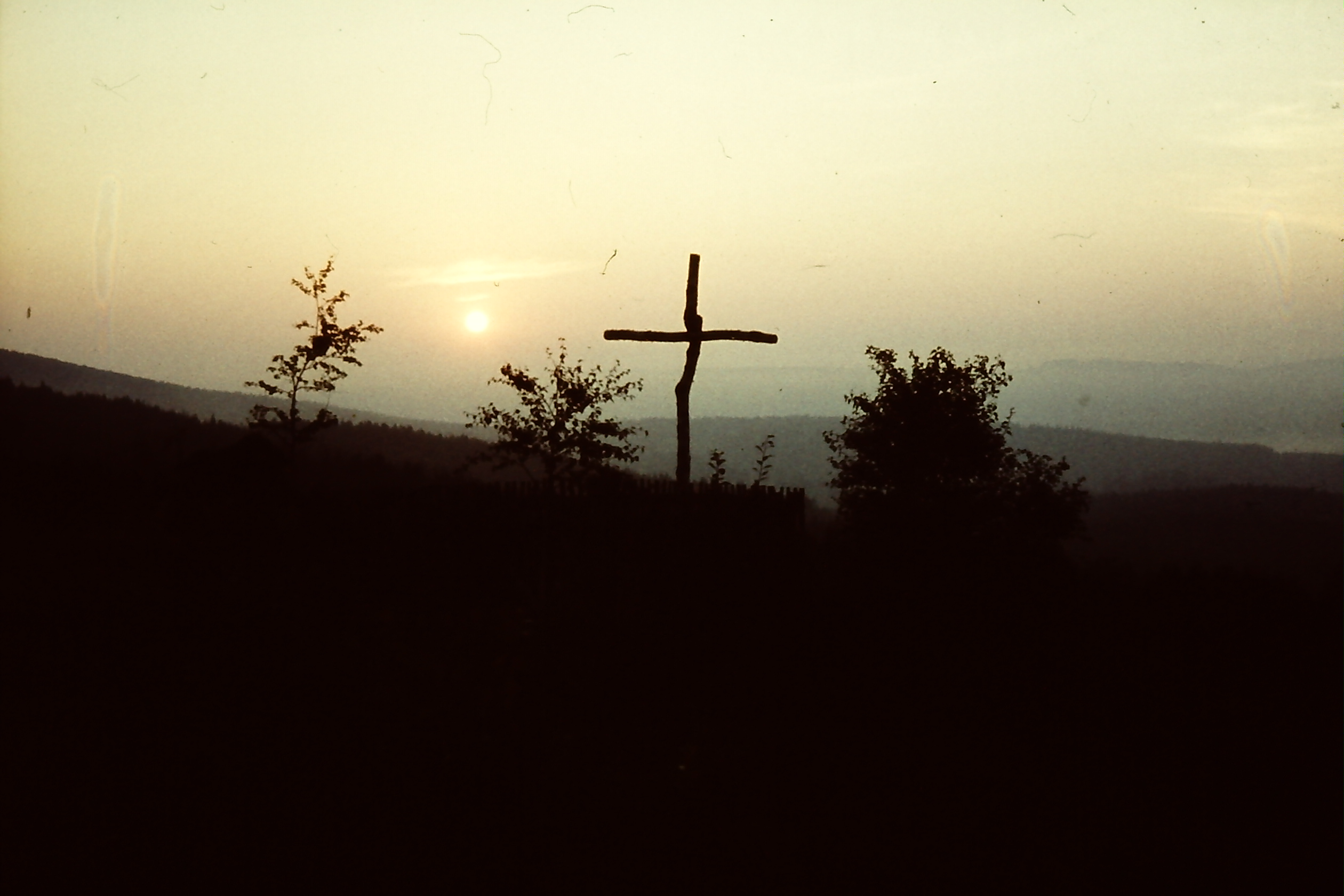 Birkenkreuz