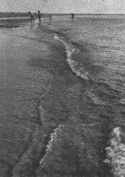 Der Strand