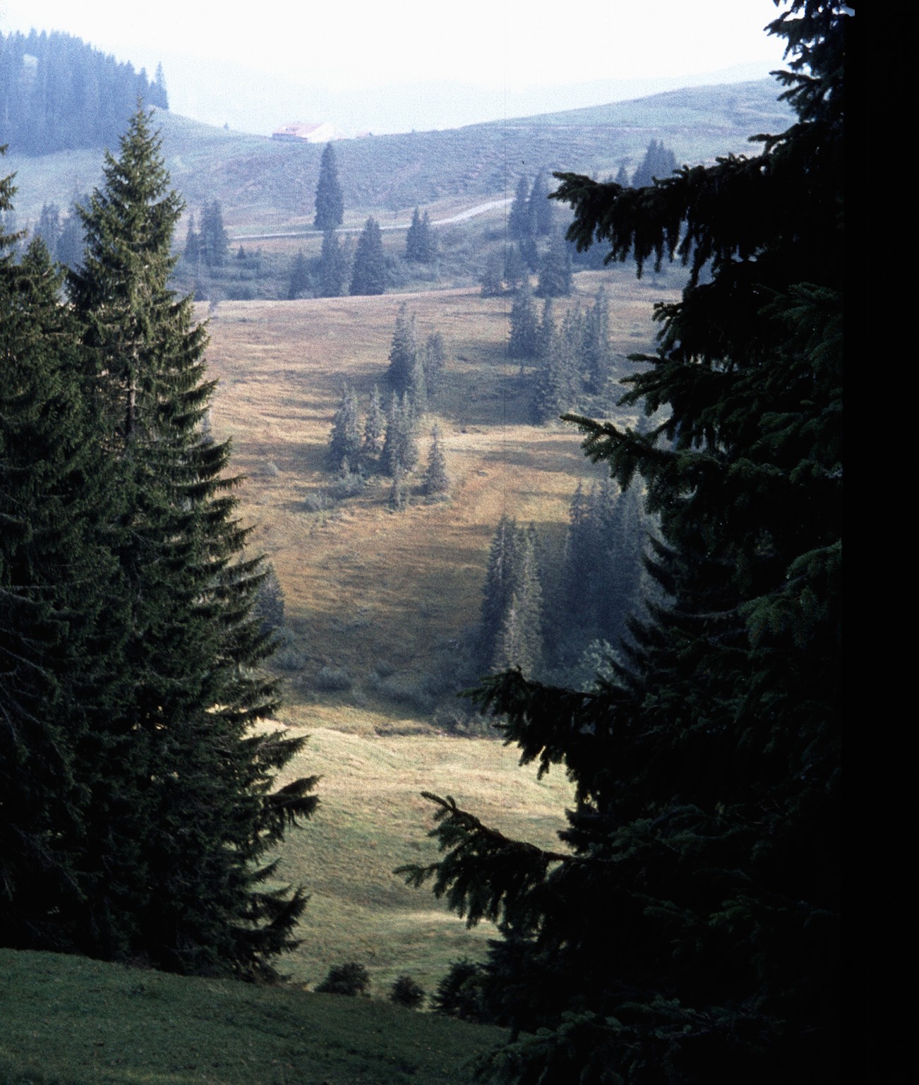Blick auf die Hllritz-Alm
